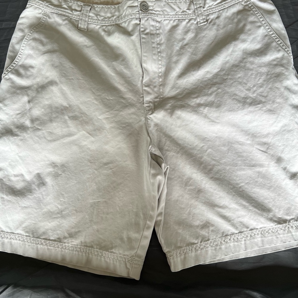 Men’s cargo shorts. Izod size W38.